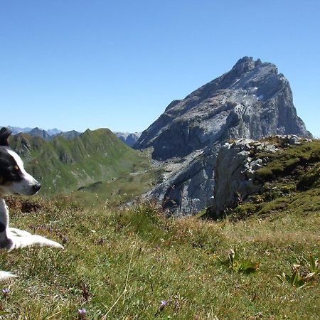 Sonnenhaus Sander Schruns Zewnętrze zdjęcie