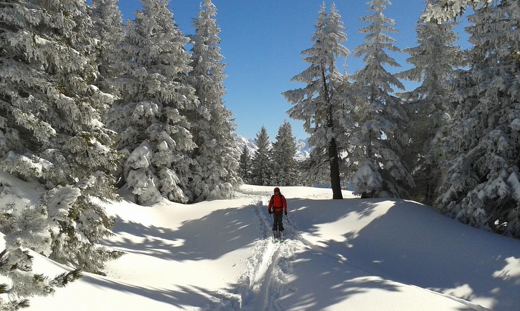 Sonnenhaus Sander Schruns Zewnętrze zdjęcie