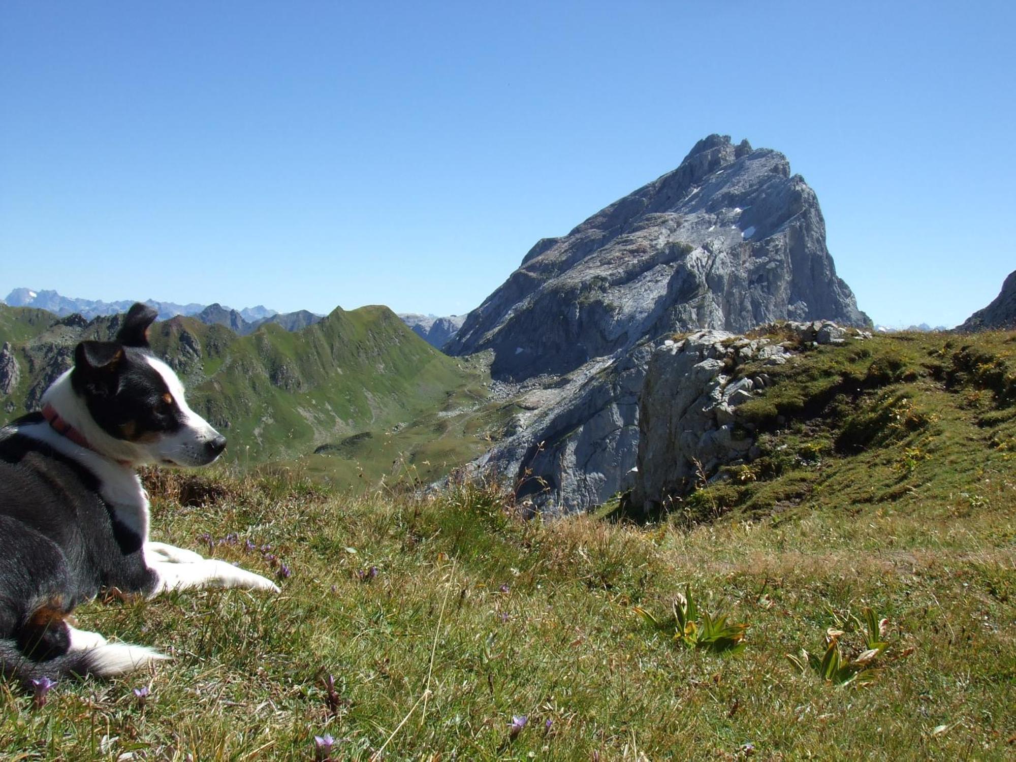 Sonnenhaus Sander Schruns Zewnętrze zdjęcie