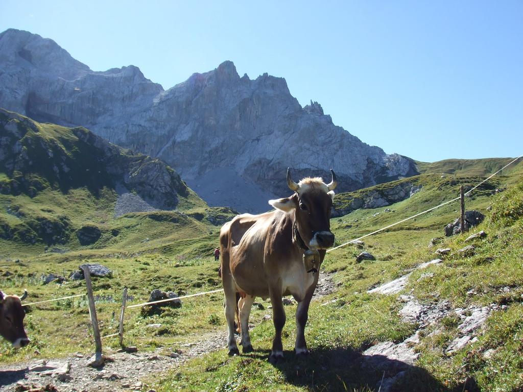 Sonnenhaus Sander Schruns Zewnętrze zdjęcie