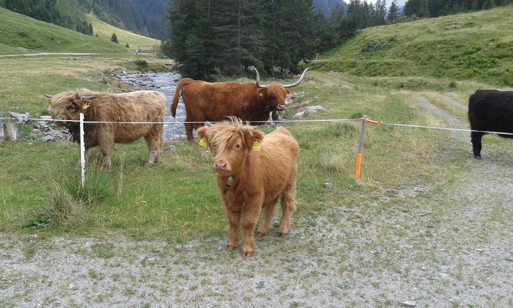 Sonnenhaus Sander Schruns Zewnętrze zdjęcie